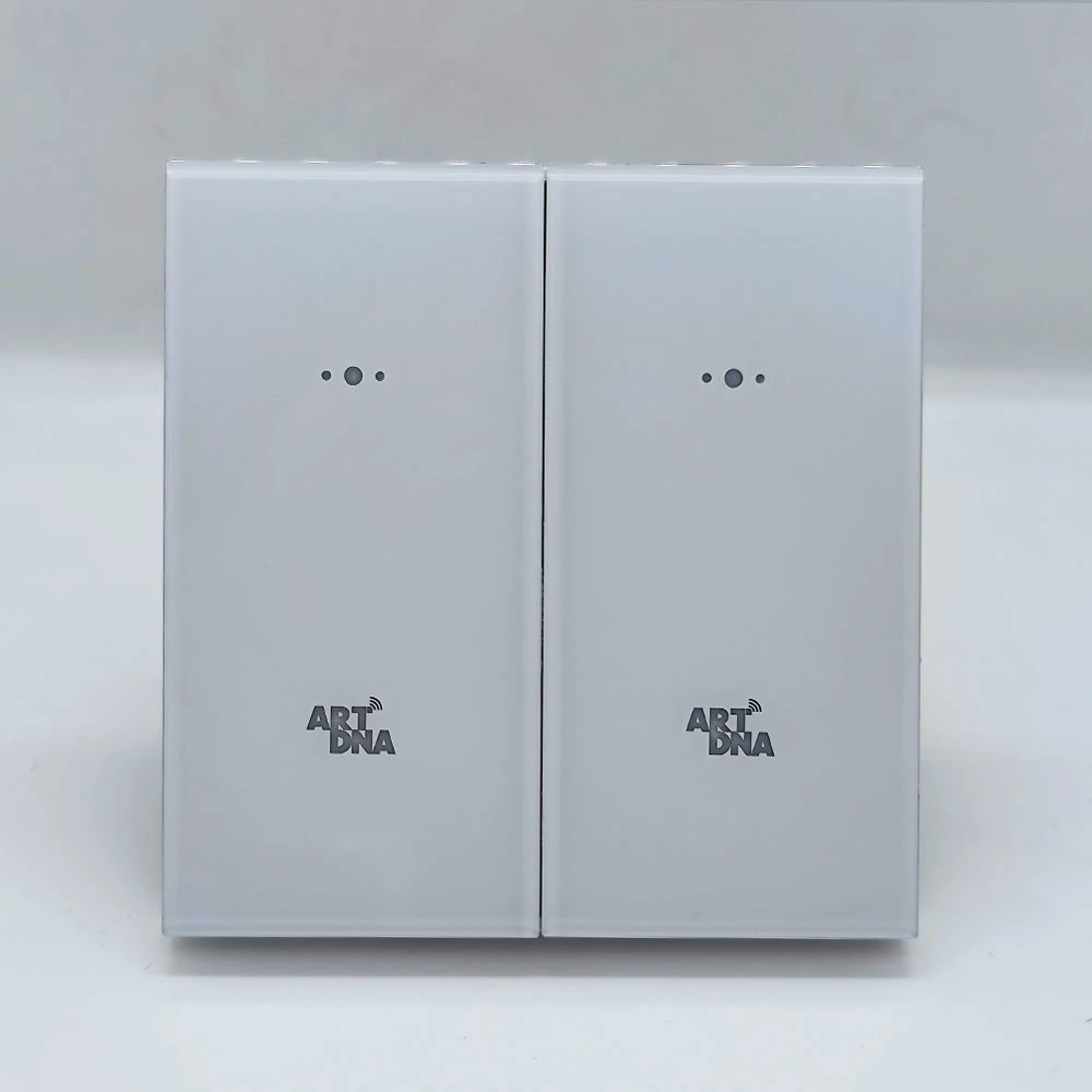 Artdna New Product Zigbee WiFi 2 Gang Frame Switch