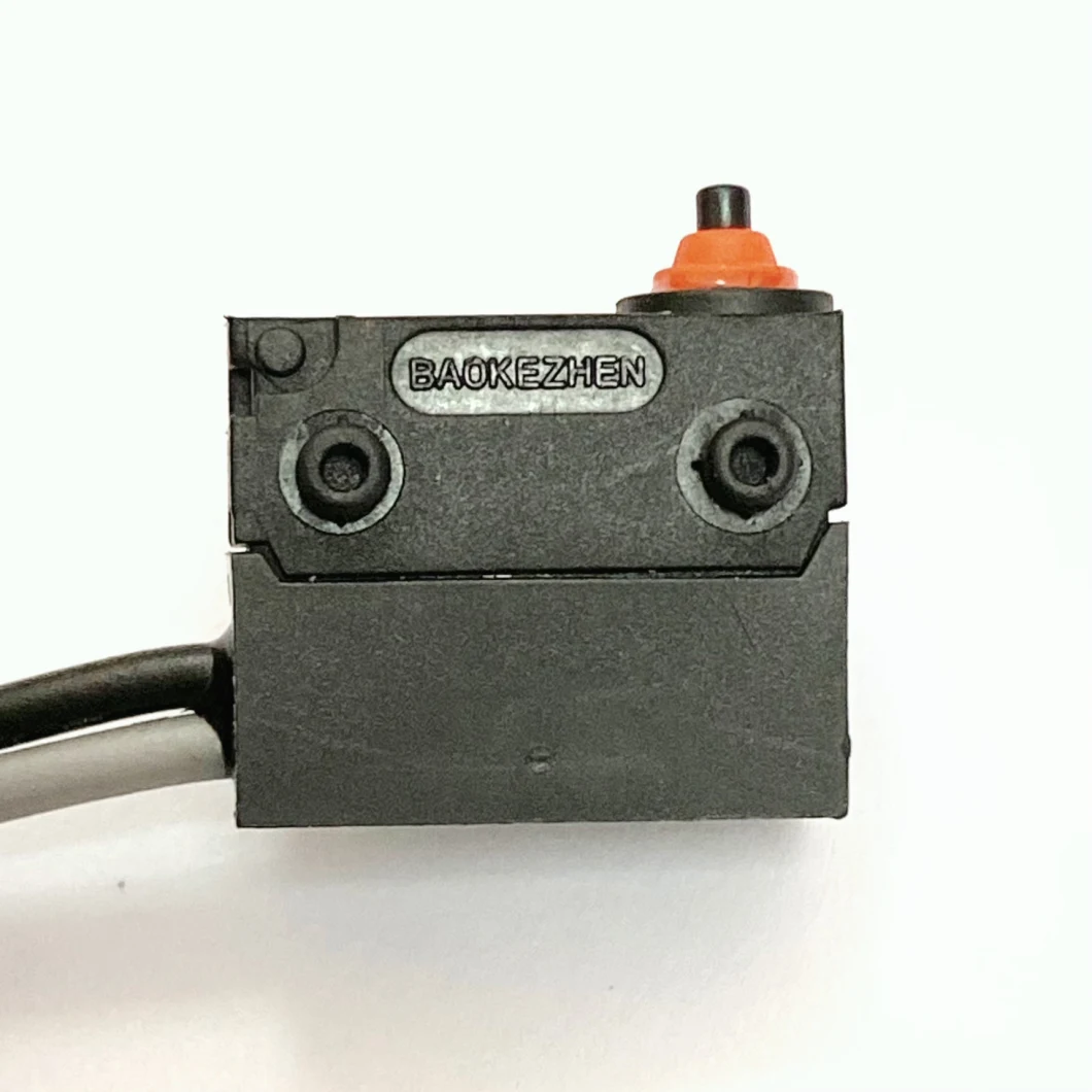 Baokezhen M02 2A 60VDC Waterproof Micro Switch