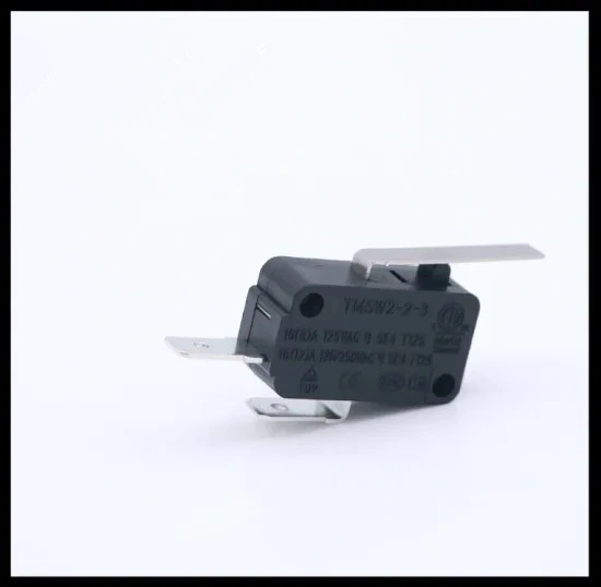 Factory Supply Push Button Sensitive Safety Micro-Switch for Hair Dryer