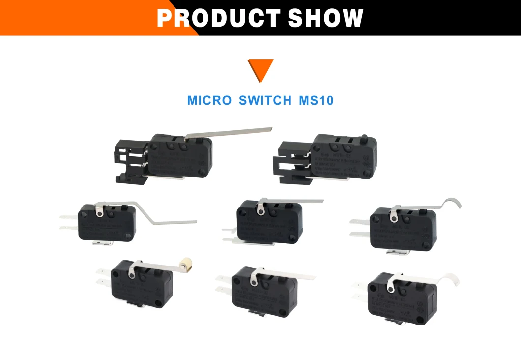 Long Life High Reliability a Variety of Temperature Class Micro Switch