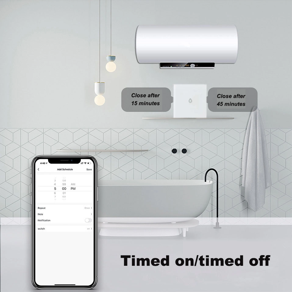 Smart Home WiFi Voice Control Water Heater Electrical Tact Switch